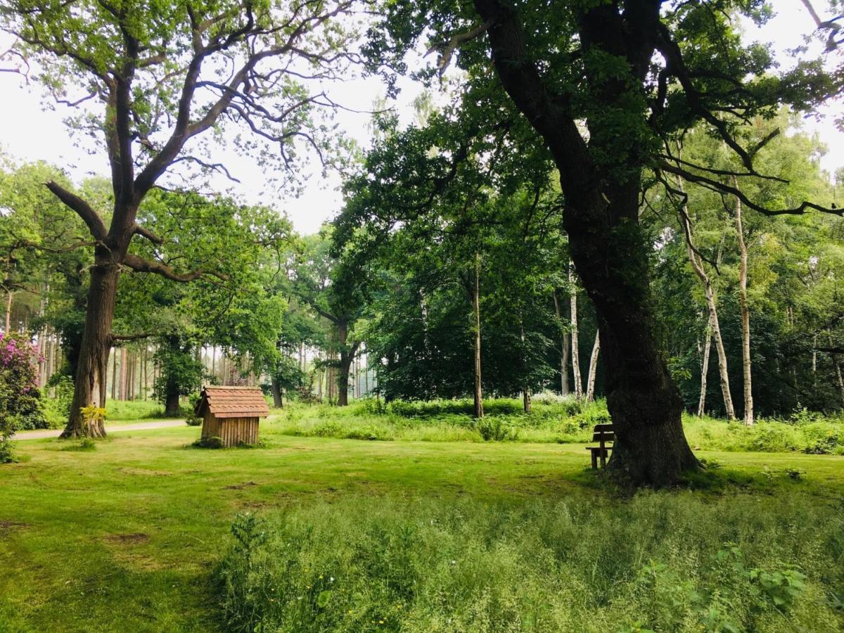 Hollicarrs - Sunflower Lodge York Eksteriør billede